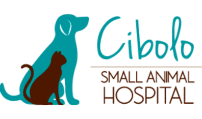 Cibolo Small Animal Hospital-HeaderLogo